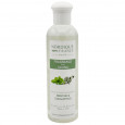 Huiles essentielles eucalyptus menthe sauna Nordique France